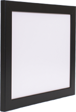 Sample Frame