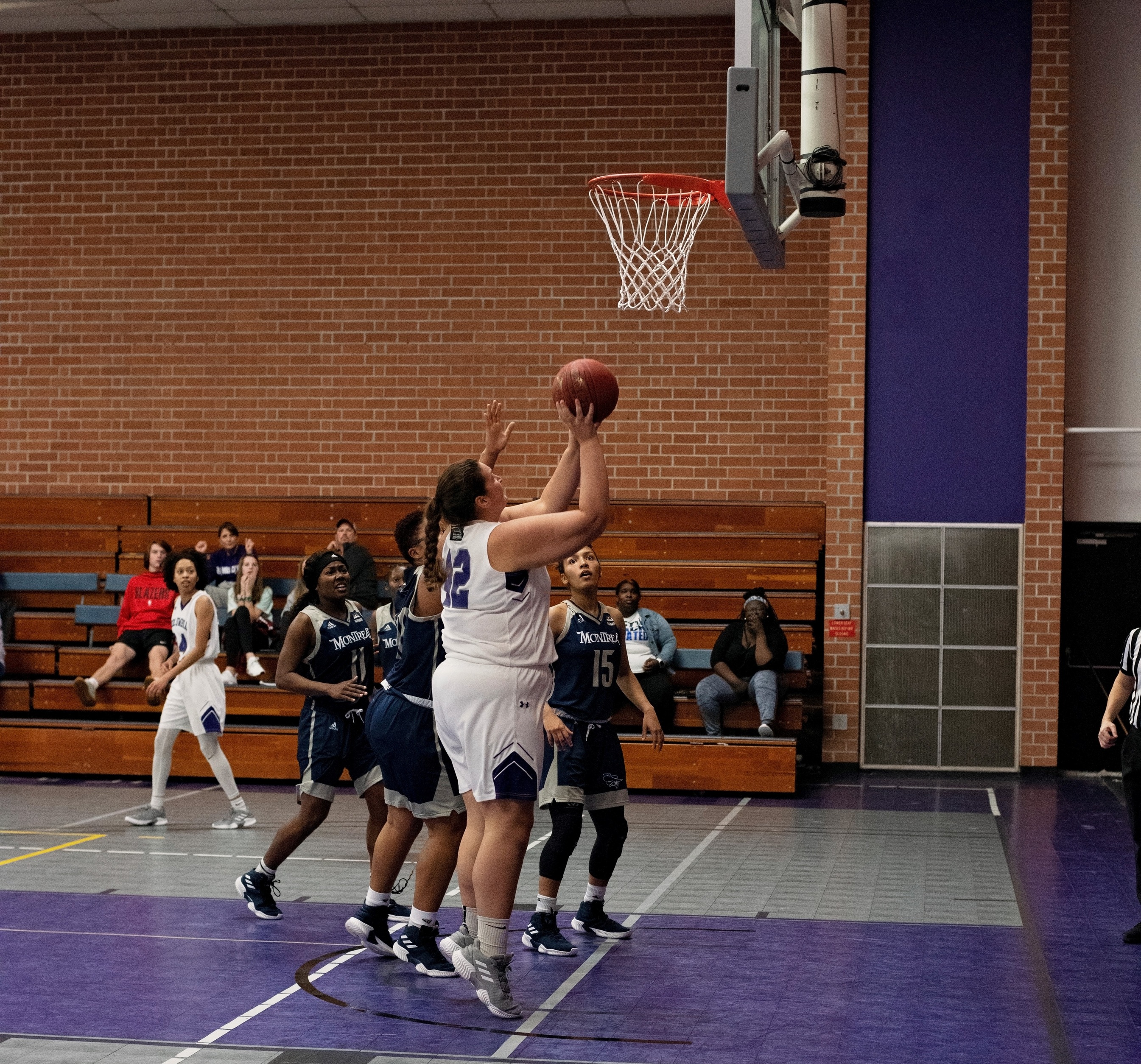 Seniors Honored in Last Game of Season